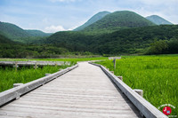Tadewara Marsh